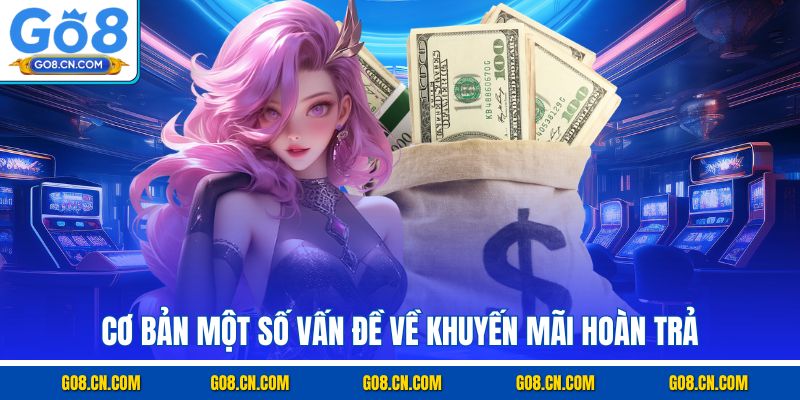 Cơ bản một số vấn đề về khuyến mãi hoàn trả