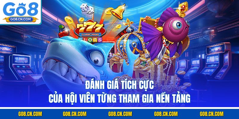 Đánh giá tích cực của hội viên từng tham gia nền tảng