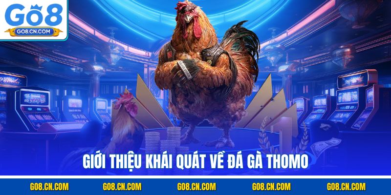 Giới thiệu khái quát về đá gà Thomo